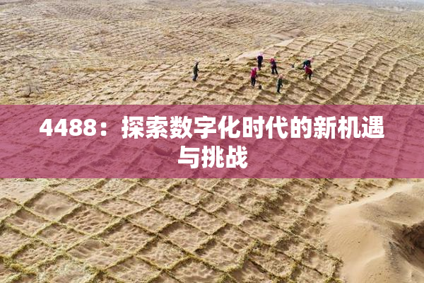 4488：探索数字化时代的新机遇与挑战