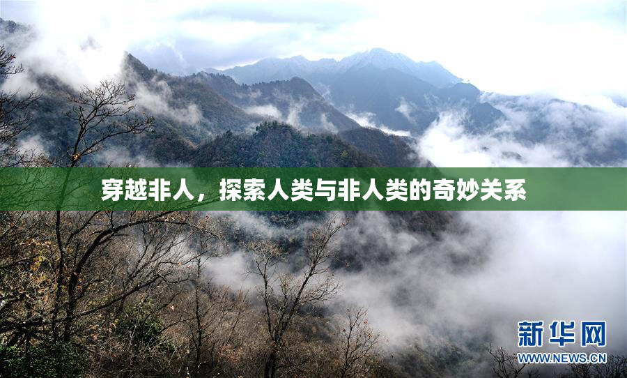 穿越非人，探索人类与非人类的奇妙关系