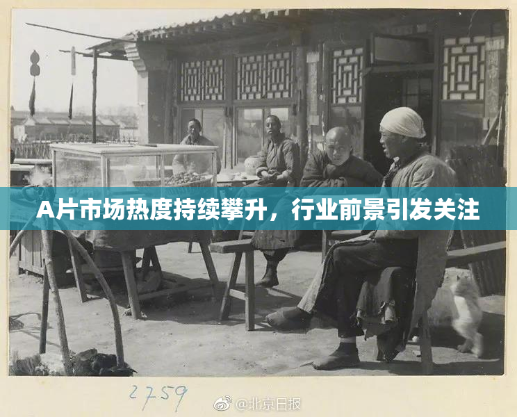 A片市场热度持续攀升，行业前景引发关注