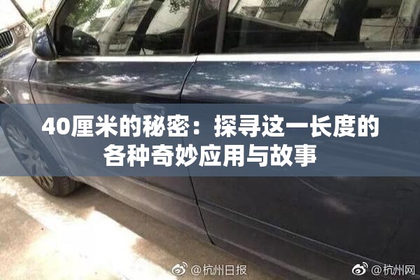 40厘米的秘密：探寻这一长度的各种奇妙应用与故事