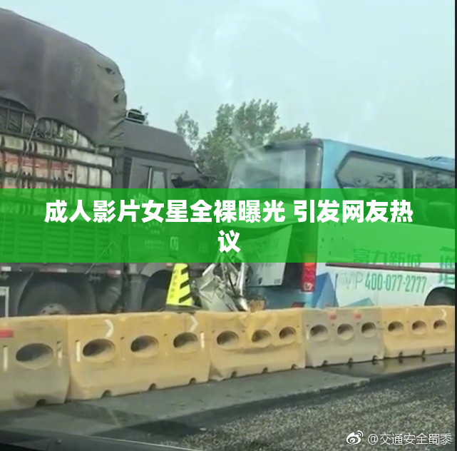 成人影片女星全裸曝光 引发网友热议