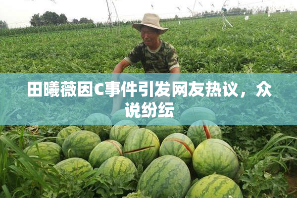 田曦薇因C事件引发网友热议，众说纷纭