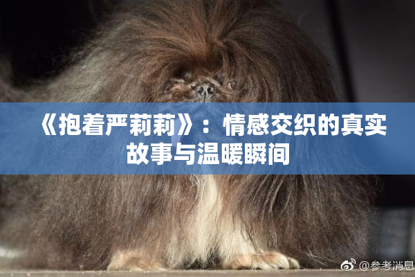 《抱着严莉莉》：情感交织的真实故事与温暖瞬间