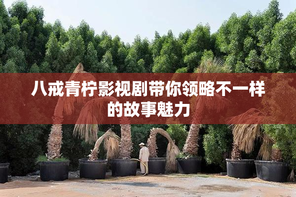 八戒青柠影视剧带你领略不一样的故事魅力