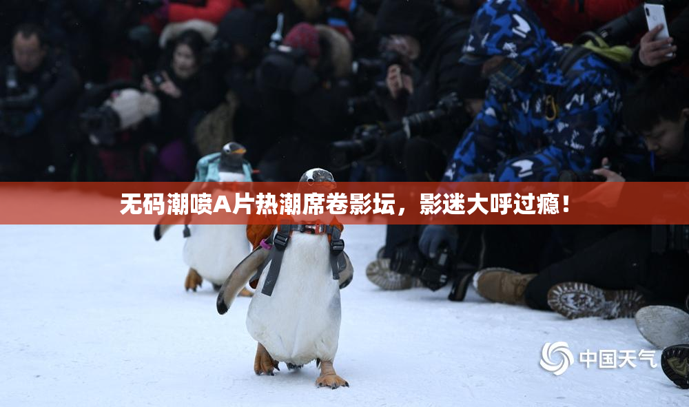 无码潮喷A片热潮席卷影坛，影迷大呼过瘾！
