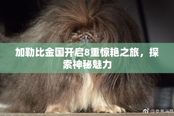 加勒比金国开启8重惊艳之旅，探索神秘魅力