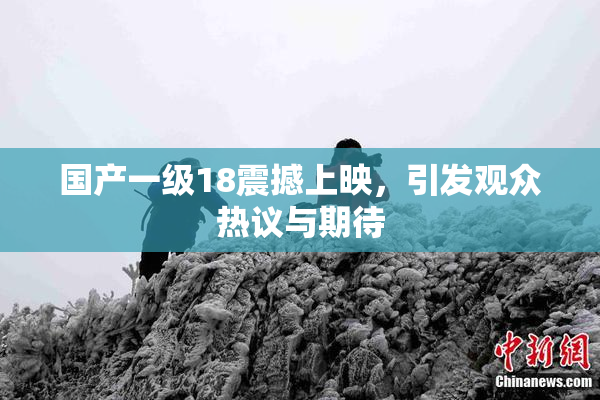 国产一级18震撼上映，引发观众热议与期待