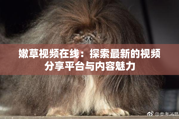 嫩草视频在线：探索最新的视频分享平台与内容魅力