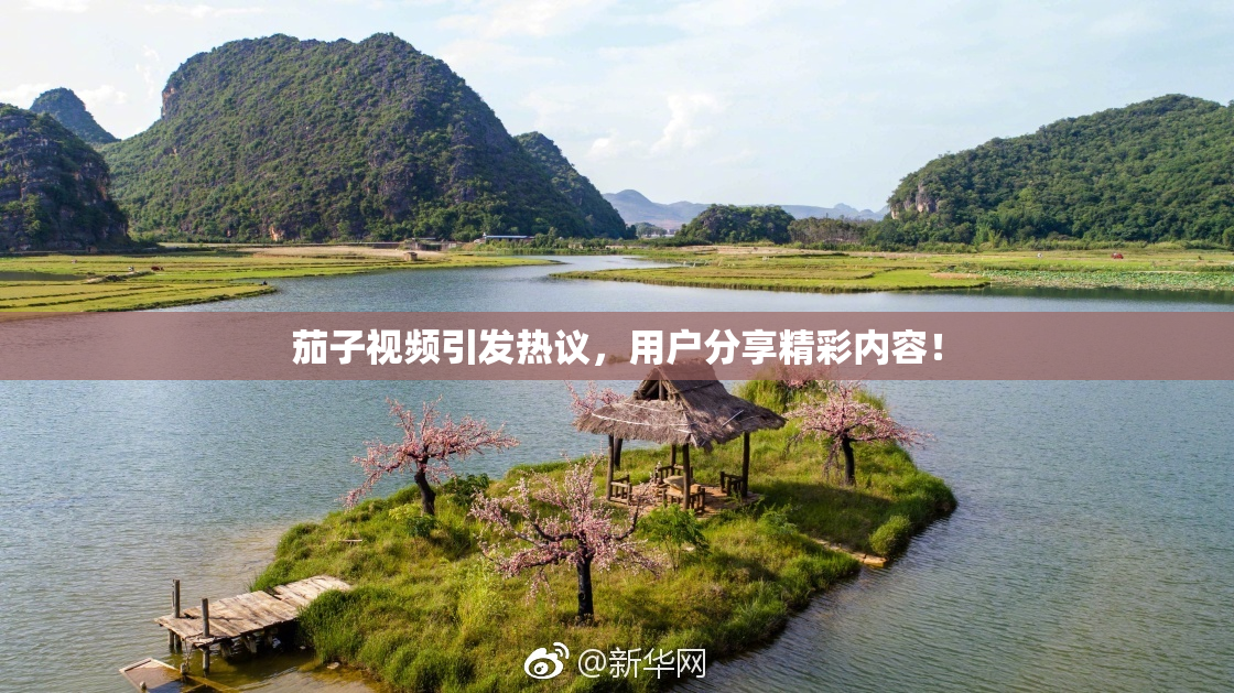 茄子视频引发热议，用户分享精彩内容！