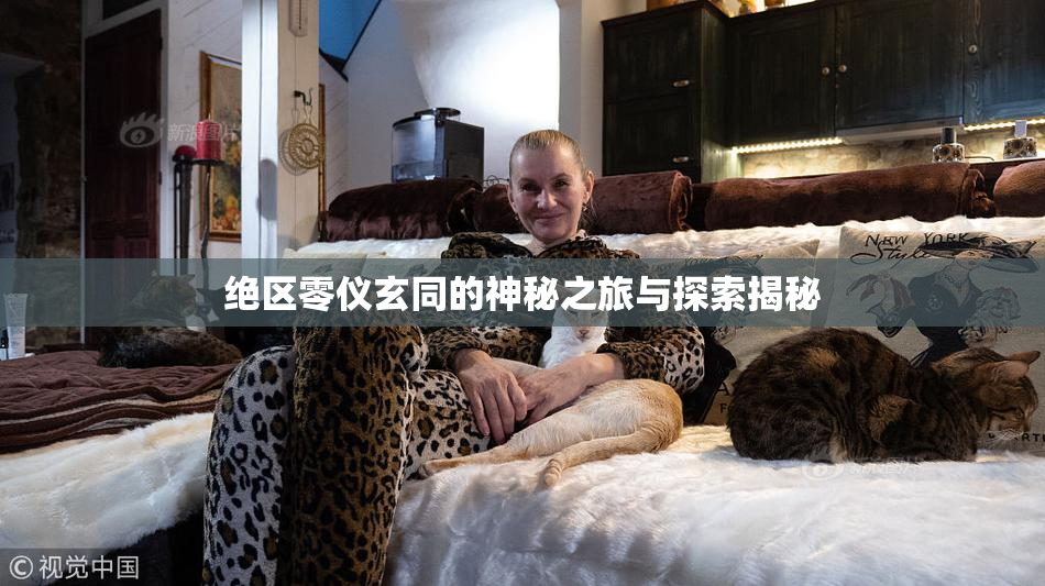 绝区零仪玄同的神秘之旅与探索揭秘