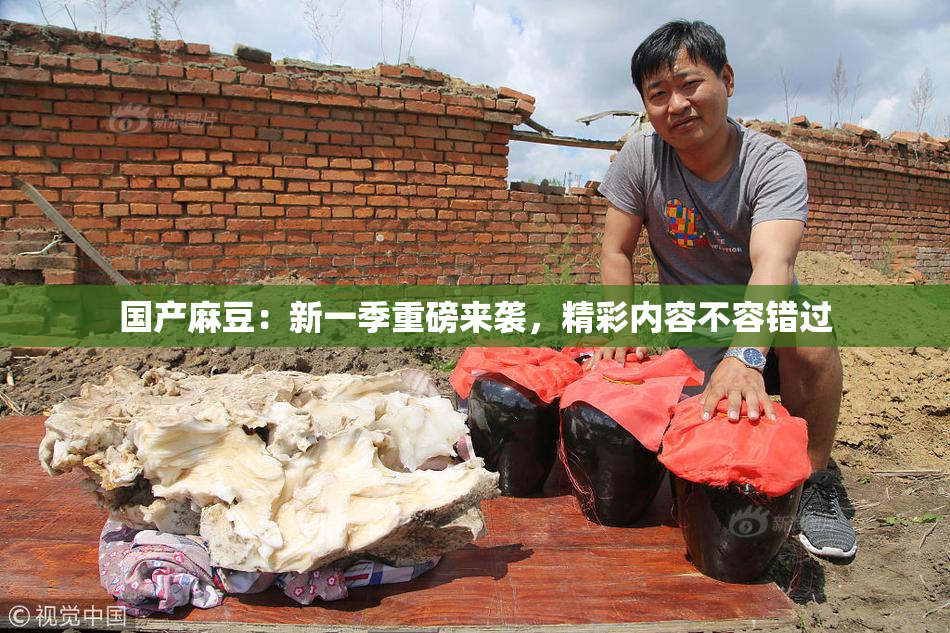 国产麻豆：新一季重磅来袭，精彩内容不容错过