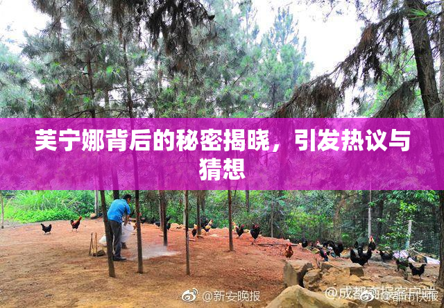 芙宁娜背后的秘密揭晓，引发热议与猜想