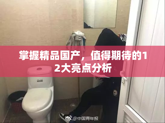掌握精品国产，值得期待的12大亮点分析