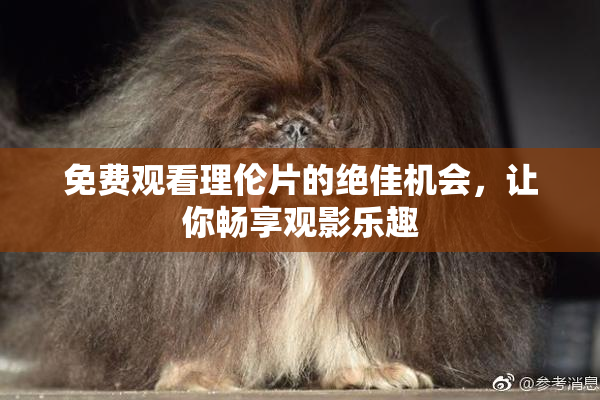 免费观看理伦片的绝佳机会，让你畅享观影乐趣