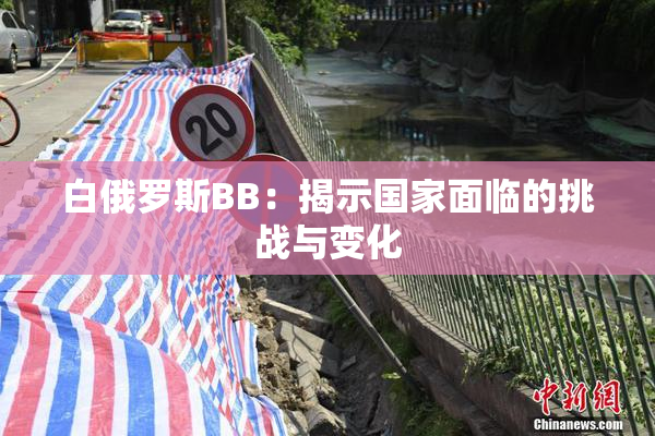 白俄罗斯BB：揭示国家面临的挑战与变化
