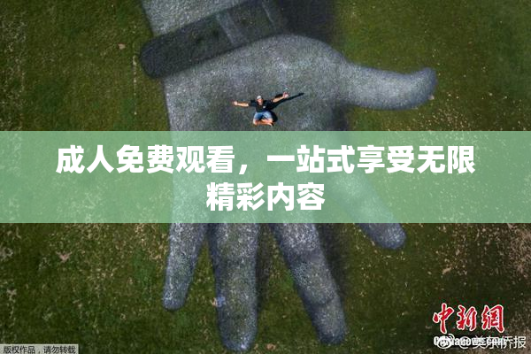 成人免费观看，一站式享受无限精彩内容