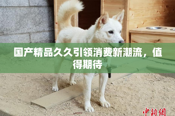 国产精品久久引领消费新潮流，值得期待