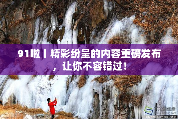 91啦丨精彩纷呈的内容重磅发布，让你不容错过！