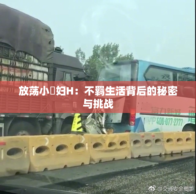 放荡小婬妇H：不羁生活背后的秘密与挑战