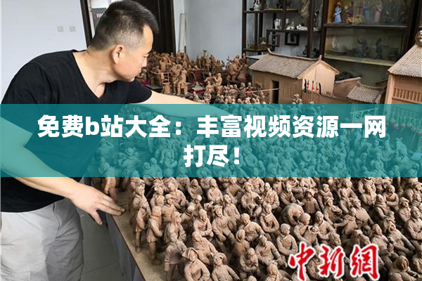 免费b站大全：丰富视频资源一网打尽！