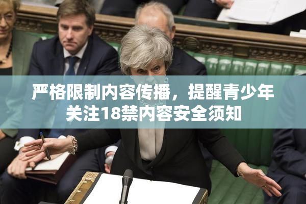 严格限制内容传播，提醒青少年关注18禁内容安全须知