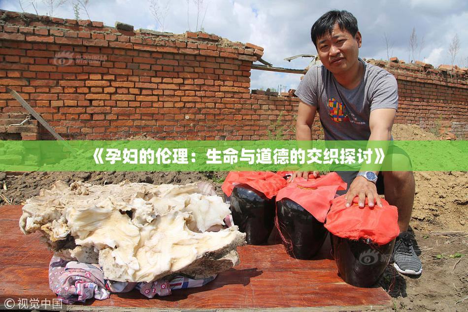 《孕妇的伦理：生命与道德的交织探讨》