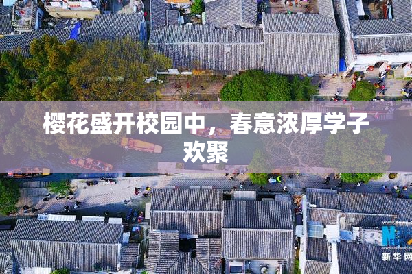 樱花盛开校园中，春意浓厚学子欢聚