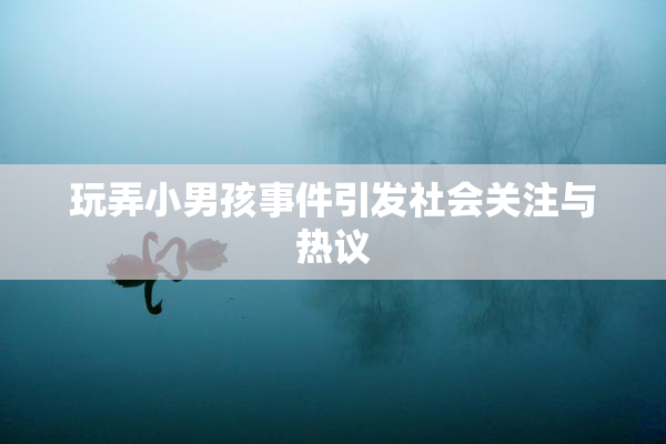 玩弄小男孩事件引发社会关注与热议