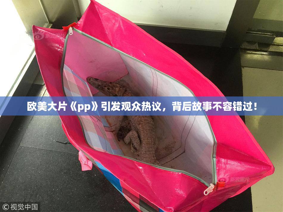 欧美大片《pp》引发观众热议，背后故事不容错过！