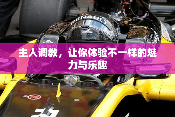 主人调教，让你体验不一样的魅力与乐趣