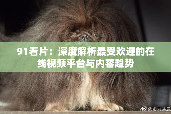 91看片：深度解析最受欢迎的在线视频平台与内容趋势