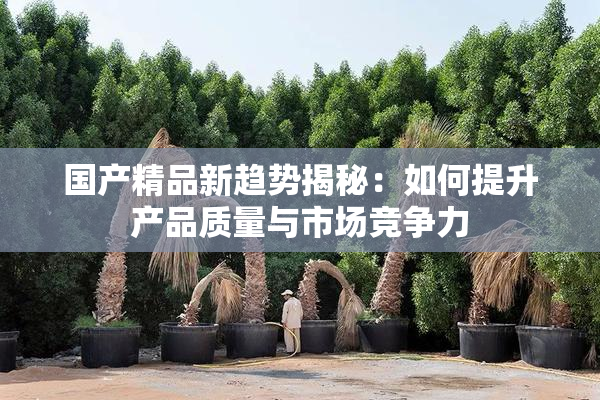 国产精品新趋势揭秘：如何提升产品质量与市场竞争力