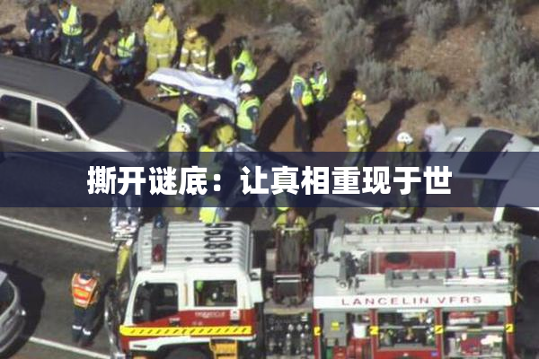 撕开谜底：让真相重现于世