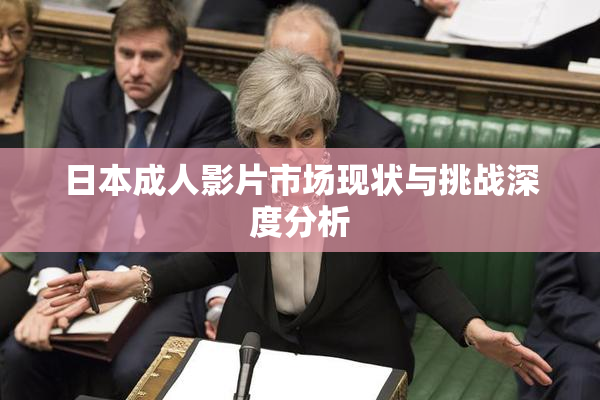 日本成人影片市场现状与挑战深度分析