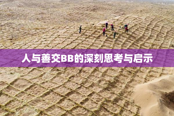 人与善交BB的深刻思考与启示