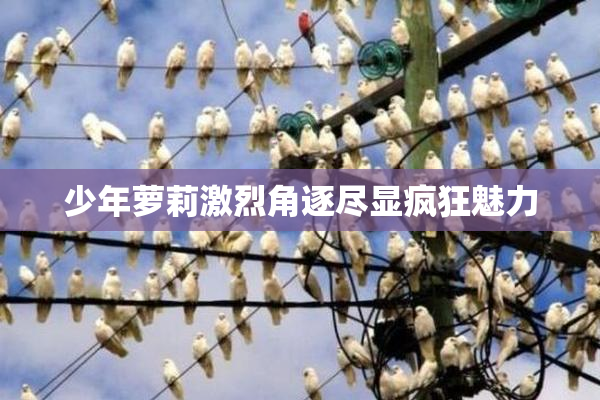少年萝莉激烈角逐尽显疯狂魅力