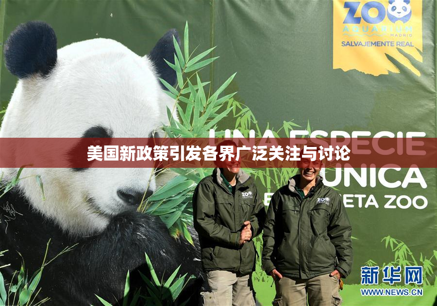 美国新政策引发各界广泛关注与讨论