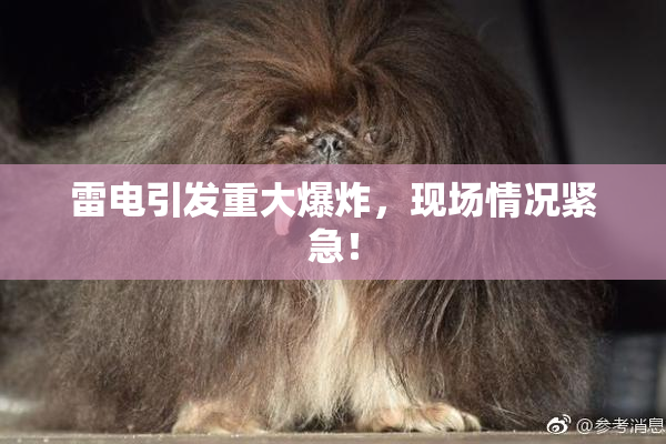 雷电引发重大爆炸，现场情况紧急！