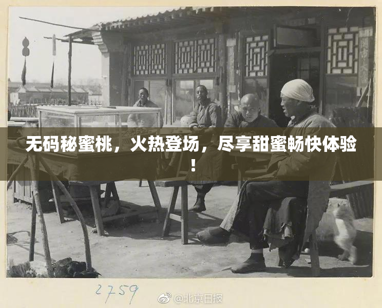 无码秘蜜桃，火热登场，尽享甜蜜畅快体验！