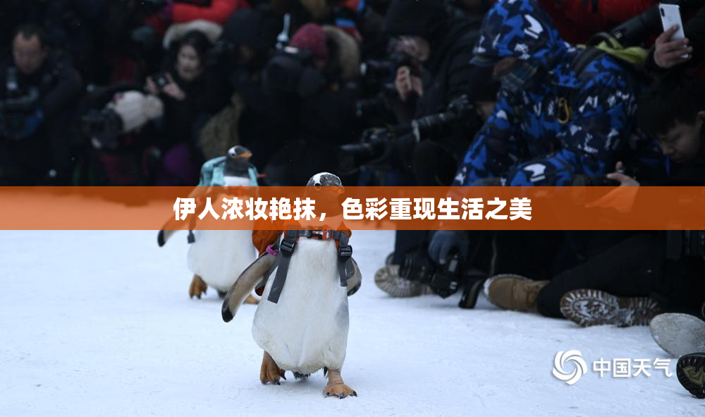伊人浓妆艳抹，色彩重现生活之美