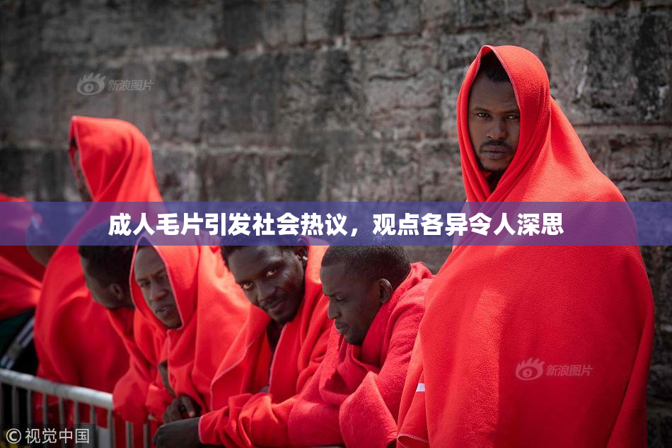 成人毛片引发社会热议，观点各异令人深思