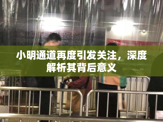 小明通道再度引发关注，深度解析其背后意义