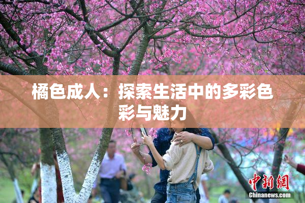 橘色成人：探索生活中的多彩色彩与魅力
