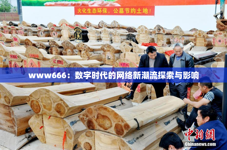 www666：数字时代的网络新潮流探索与影响