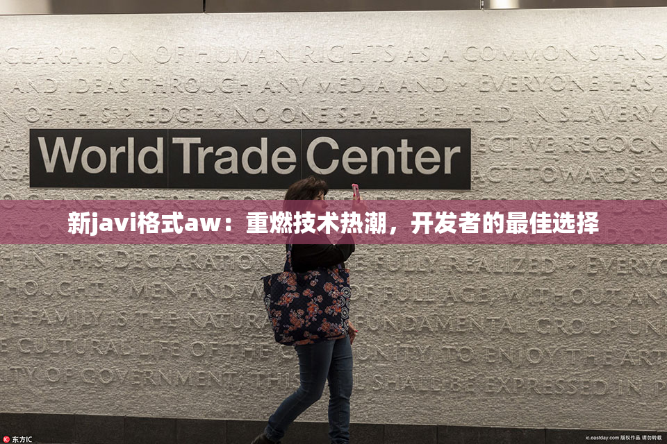 新javi格式aw：重燃技术热潮，开发者的最佳选择