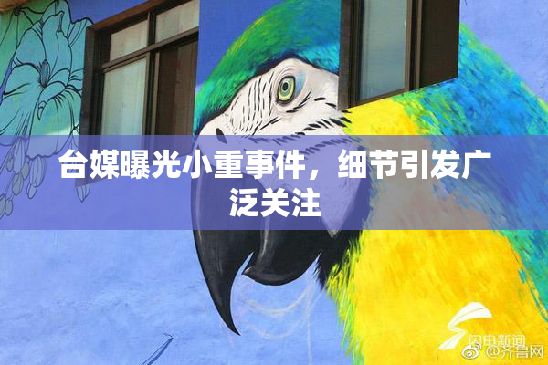 台媒曝光小重事件，细节引发广泛关注