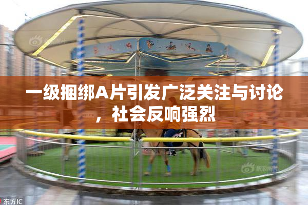 一级捆绑A片引发广泛关注与讨论，社会反响强烈