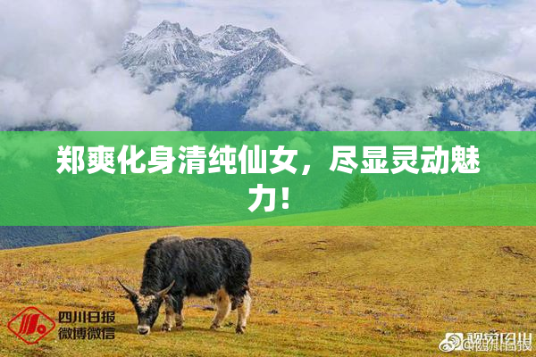 郑爽化身清纯仙女，尽显灵动魅力！
