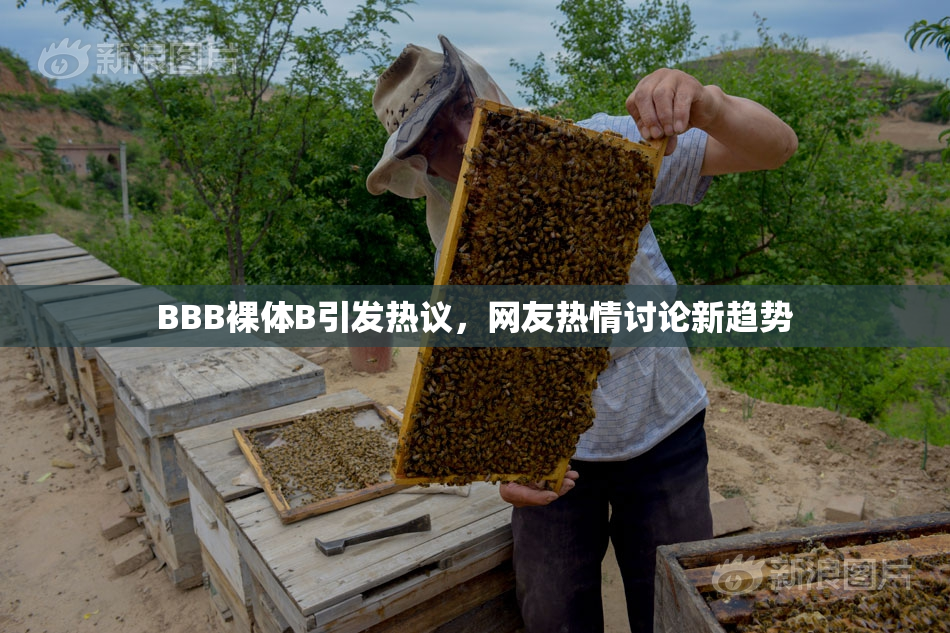 BBB裸体B引发热议，网友热情讨论新趋势
