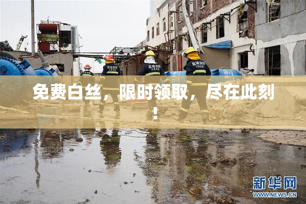 免费白丝，限时领取，尽在此刻！